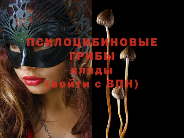марки nbome Арсеньев