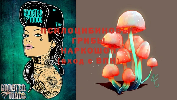 мет Аркадак