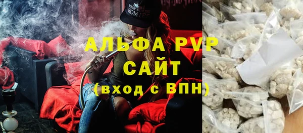 apvp Гусев