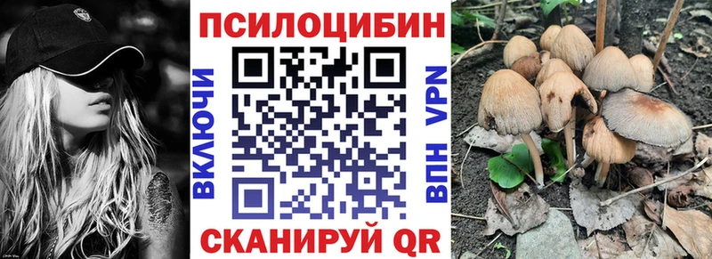 магазин Гаврилов Посад Псилоцибиновые грибы мицелий